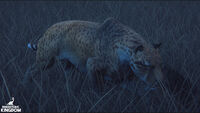 Smilodon populator in a grassy field.