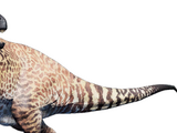 Acrocanthosaurus