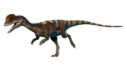 Outdated render of the "Withered" skin.