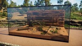 Vivarium medium desert