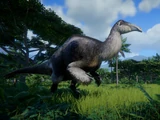 Deinocheirus
