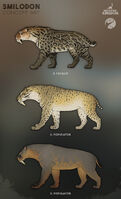 Concept art for Smilodon's current skins, as seen in the November 2019 Devlog.