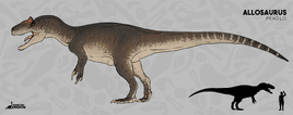 Allosaurus CA