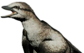 Archaeopteryx 01 Preview