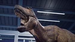 A Tarbosaurus in a shelter.
