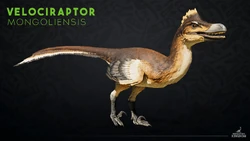 Website render of Velociraptor. This was also the reveal image for Velociraptor.