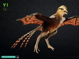 Yi