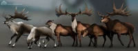 Megaloceros skins, as seen in the September 2019 Devlog.