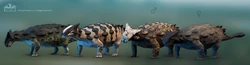Ankylosaurus skins.