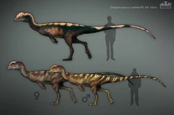 Concept art of cut skins.