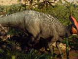 Charonosaurus