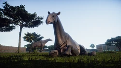 A pair of P. bugtiense