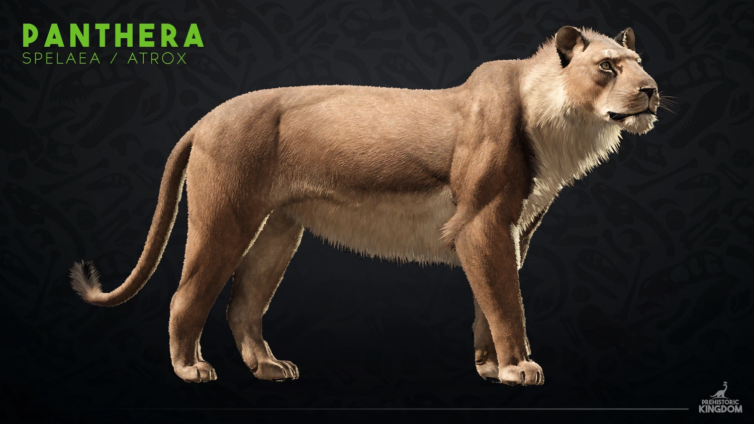 Panthera spelaea - Wikipedia