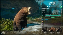 3 stars ursus.jpg (172 KB) Ursus Species Profile, as seen in the September 2019 Devlog.