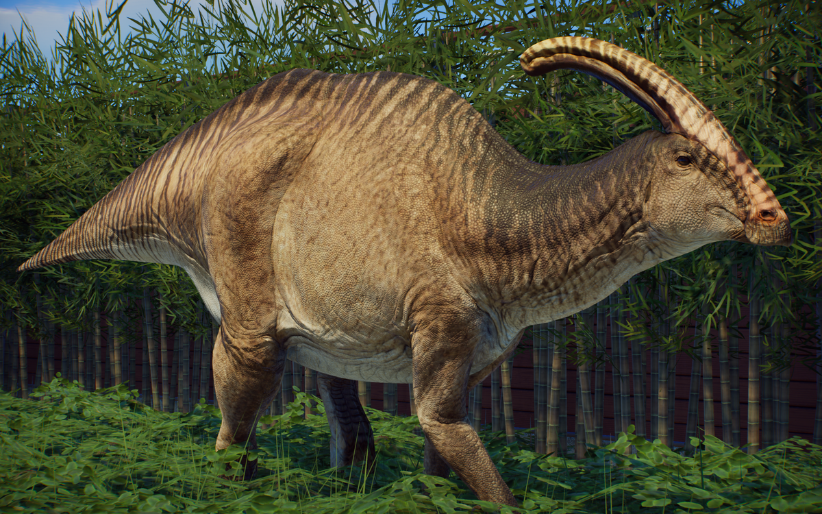 Parasaurolophus Parasaurolophus