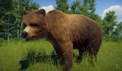 MauUrsusSkin1.png (3.08 MB)