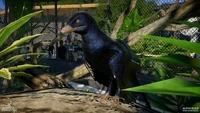 Microraptor within the Mini-Aviary.