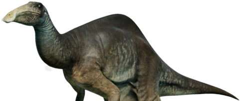 File:Deinocheirus UDL.png - Wikipedia