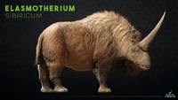 Elasmotherium.png (2.44 MB) Website render of Elasmotherium