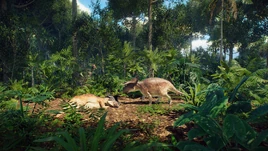 Update8TropicalNasuto