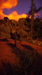 Two Toast Coelophysis running around at sunset.