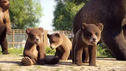 Cave Bear Cub.webp (96 KB) Ursus cubs