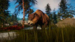 Ursus in-game.png (3.47 MB) An Ursus in game, as seen in the September 2019 Devlog.