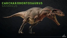 Carcharodontosaurus reveal