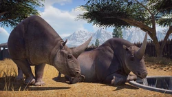 A Sinotherium rests by its water with one of its enclosuremates.