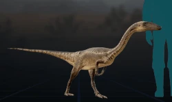 Coelophysis walk cycle.