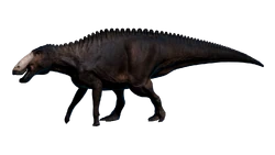 Edmontosaurus Arctic.png (452 KB) Old render of Edmontosaurus' Arctic skin.