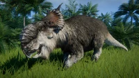 A Pachyrhinosaurus in a Tropical enclosure.