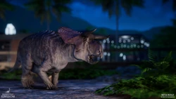 A wildberry Nasutoceratops in nighttime lighting