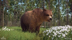 Oct2024DevlogUrsus1.png (2.7 MB) An Ursus in game, as seen in the October 2024 Devlog.