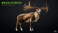 The reveal card for the updated Megaloceros, coming in Update 13.