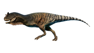 Prehistoric Kingdom  Abelisaur Run Cycle : r/Dinosaurs