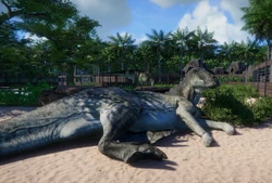 E. annectens resting