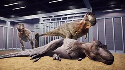 Three pre-update Tarbosaurus inside an indoor enclosure.