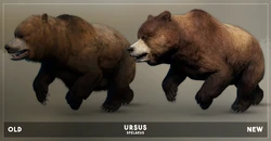 Ursus old and new.png (2.72 MB) Render comparing old Ursus model to current, as seen in the September 2019 Devlog.