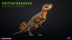 Website render of P. mongoliensis