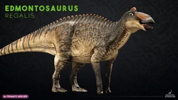 Website render of E. regalis