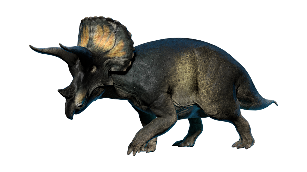 types of triceratops