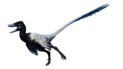 Outdated render of the female "Idyll" skin.