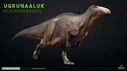 Ugrunaaluk.png (2.21 MB) Ugrunaaluk Website Render.