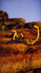 A group of Limonite Coelophysis resting as the sun sets.