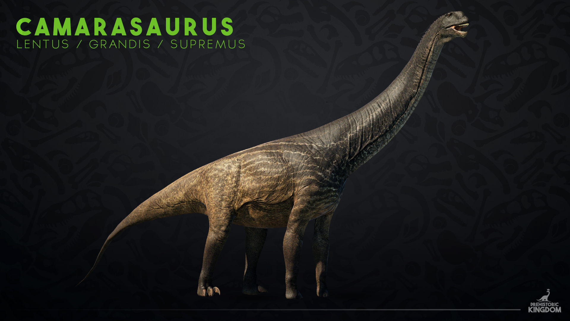 Animals | Prehistoric Kingdom Wiki | Fandom Animals | Prehistoric Kingdom Wiki | Fandom