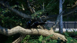 Microtemperate.png (6.18 MB) A flock of Microraptors perched in a Mini-Aviary.