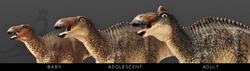 Render showcasing the ontogeny of Edmontosaurus regalis, as seen in the January 2024 Devlog.