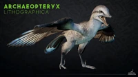 Archaeopteryx.png (1.3 MB) Old website render of Archeaopteryx.