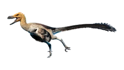 Outdated render of the "Tawny" skin.